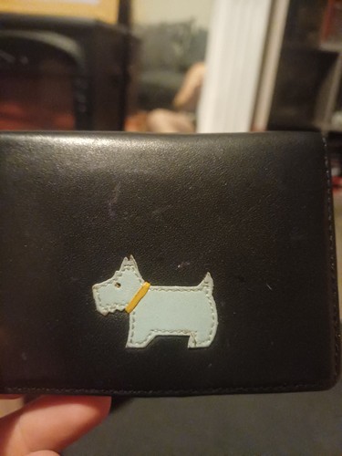 Radley bus pass credit - credit, card