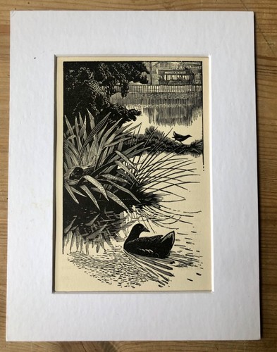 Vintage wood engraving print - ,