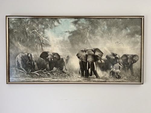 Vintage david shepherd - vintage,