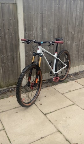 Vitus nucleus vrs medium - nucleus,