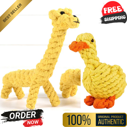 Pet dog chew toys - pet, braided