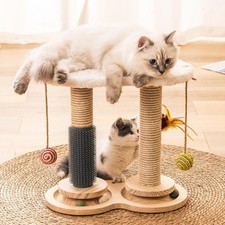 LARGE CAT TREE KITTEN ACTIVITY