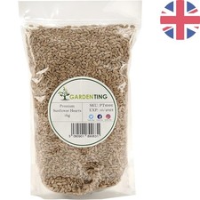 Allergen-Free  Sunflower
