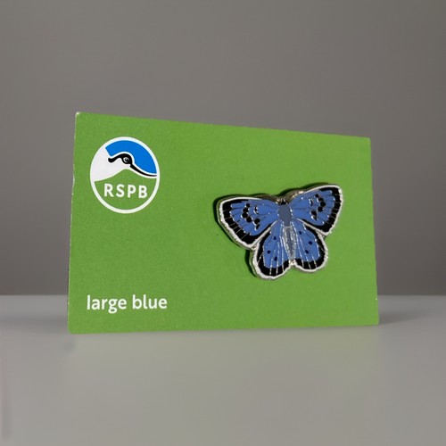 Rspb pin badge - badge, blue