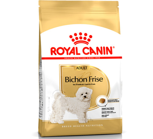 Bichon frise royal - -,