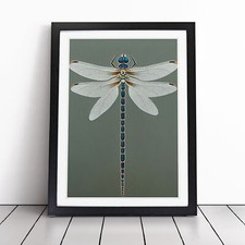 Breathtaking Dragonfly Framed
