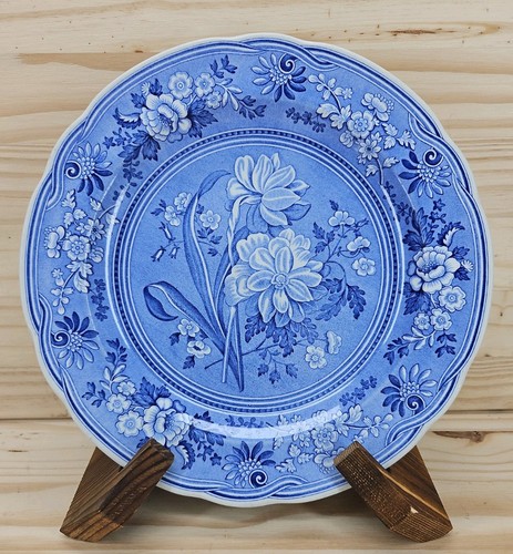 Spode blue room - blue, botanical