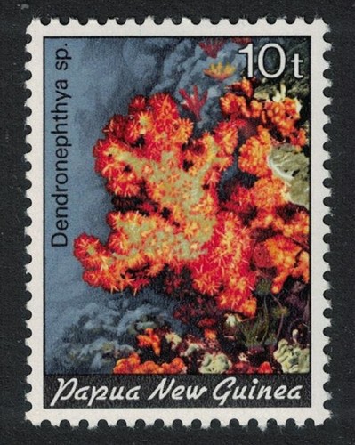 10t dendronephthya soft - sp.',