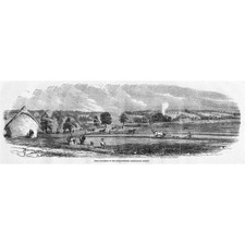 Prize Ploughing of the