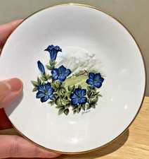 Vintage Royal Kendal 1985 Fine