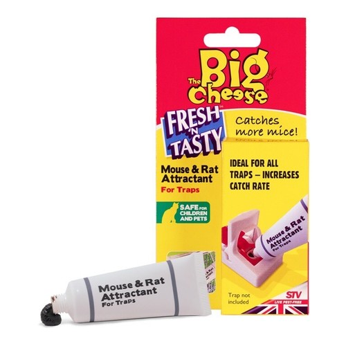The big cheese stv163 - big, mouse
