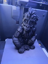 Gorilla Baby Silver Back