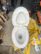 Plaisir Wall-Hung Elongated Toilet