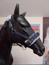 Navy Blue Shires Arma Fleece Lined Lunge Cavesson Cob Size CAL 2905