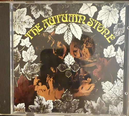Small faces the autumn - faces,
