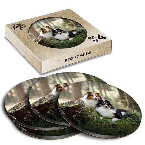 Boxed round coasters - round,
