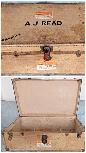 Vintage travel trunk case - travel,