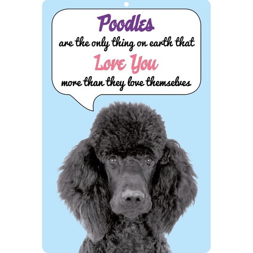 Black poodle dog sign - sign,