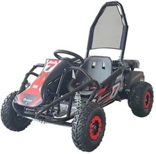 100cc Mud Monster - Renegade