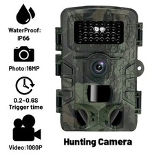 Outdoor Wildlife Camera Trail