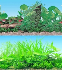 Aquarium Fish Tank Background