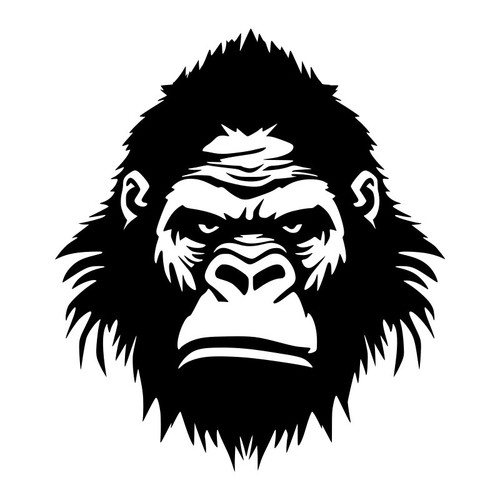 Silverback gorilla head - silverback,