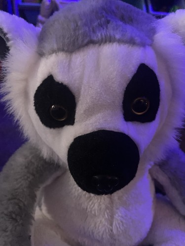 Grey white plush - lemur, soft