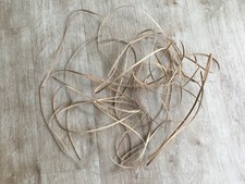 Genuine natural cane caning antique chairs more than 80 metres