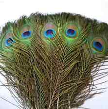 ALL SIZES! Peacock Tail Feathers Craft Hat Decorations Hat Sewing