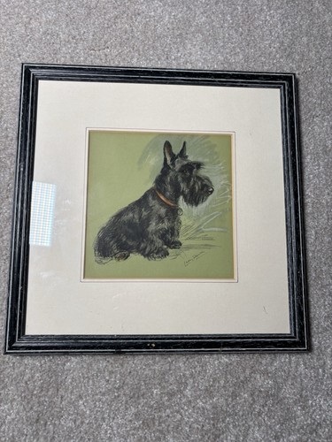 Lucy dawson scottish terrier - dawson,