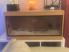 reptile/bearded dragon vivarium 3ft