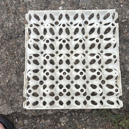Plastic egg tray holds - egg, 30