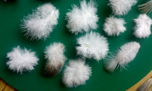 Natural feathers small - natural, x5