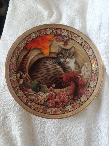 Collectable plate cats by - collectable, cats!