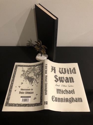 Michael cunningham wild swan - michael, a