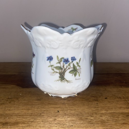 Brosnic english bone - brosnic,