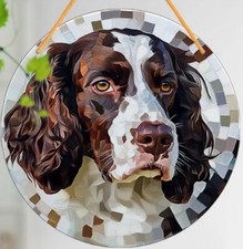 Springer Spaniel Brown LARGE