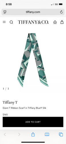 Bnwt tiffany co giant - &,