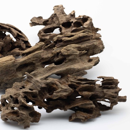 Honeycomb wood dragon - honeycomb,