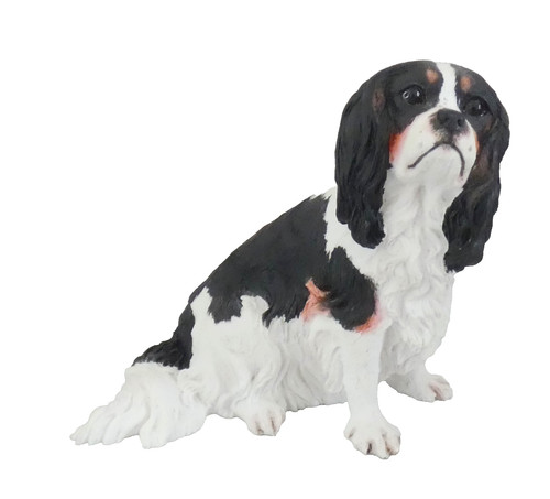 Cavalier king charles - cavalier, spaniel