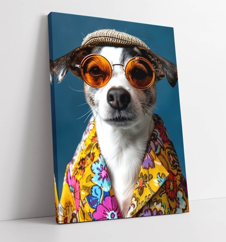 Jack russell dog funky - dog, in