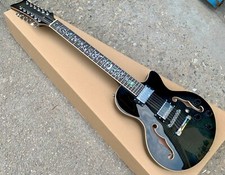 12-String Electric Jazz Guitar
