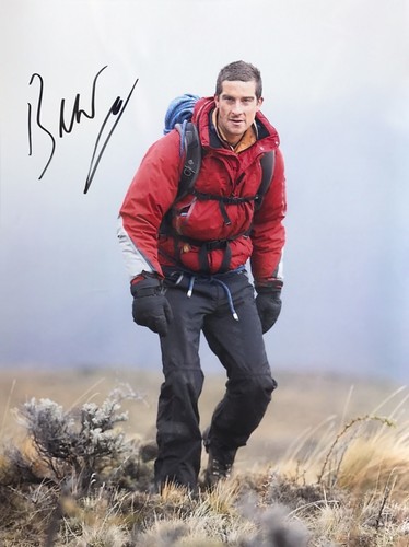 Bear grylls hand - grylls, 16x12