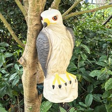 Garden Eagle Ornament