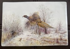 Lovely Painted Pheasants by