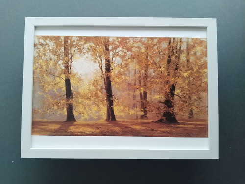 David shepherd print - shepherd, 'autumn'