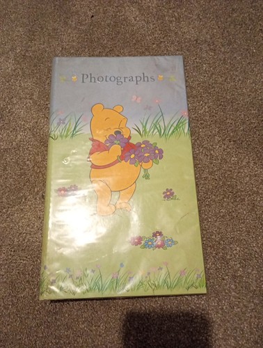 Disney winnie the pooh - winnie,