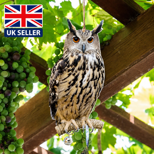 Owl decoy bird deterrent - decoy,