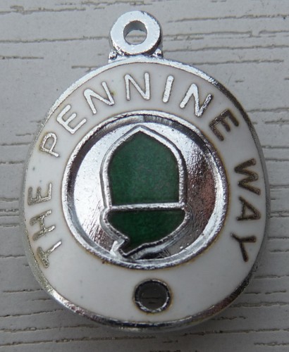 Walking stick badge with pins - walking,