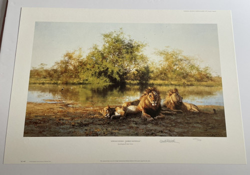 African evening zambezi - african,